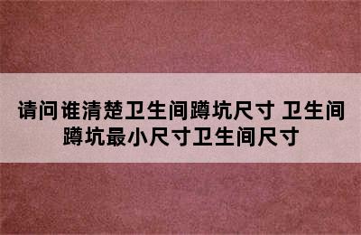 请问谁清楚卫生间蹲坑尺寸 卫生间蹲坑最小尺寸卫生间尺寸